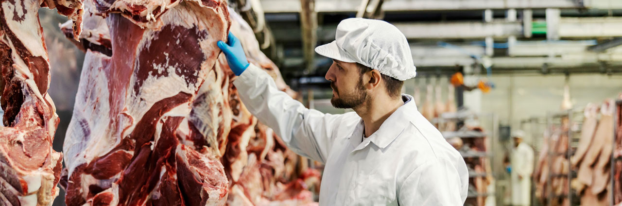 Abattoir