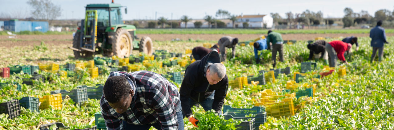 Agriculture